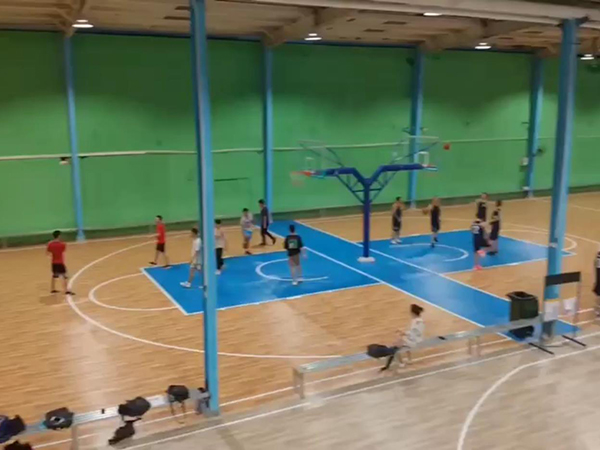 篮球体育场视频